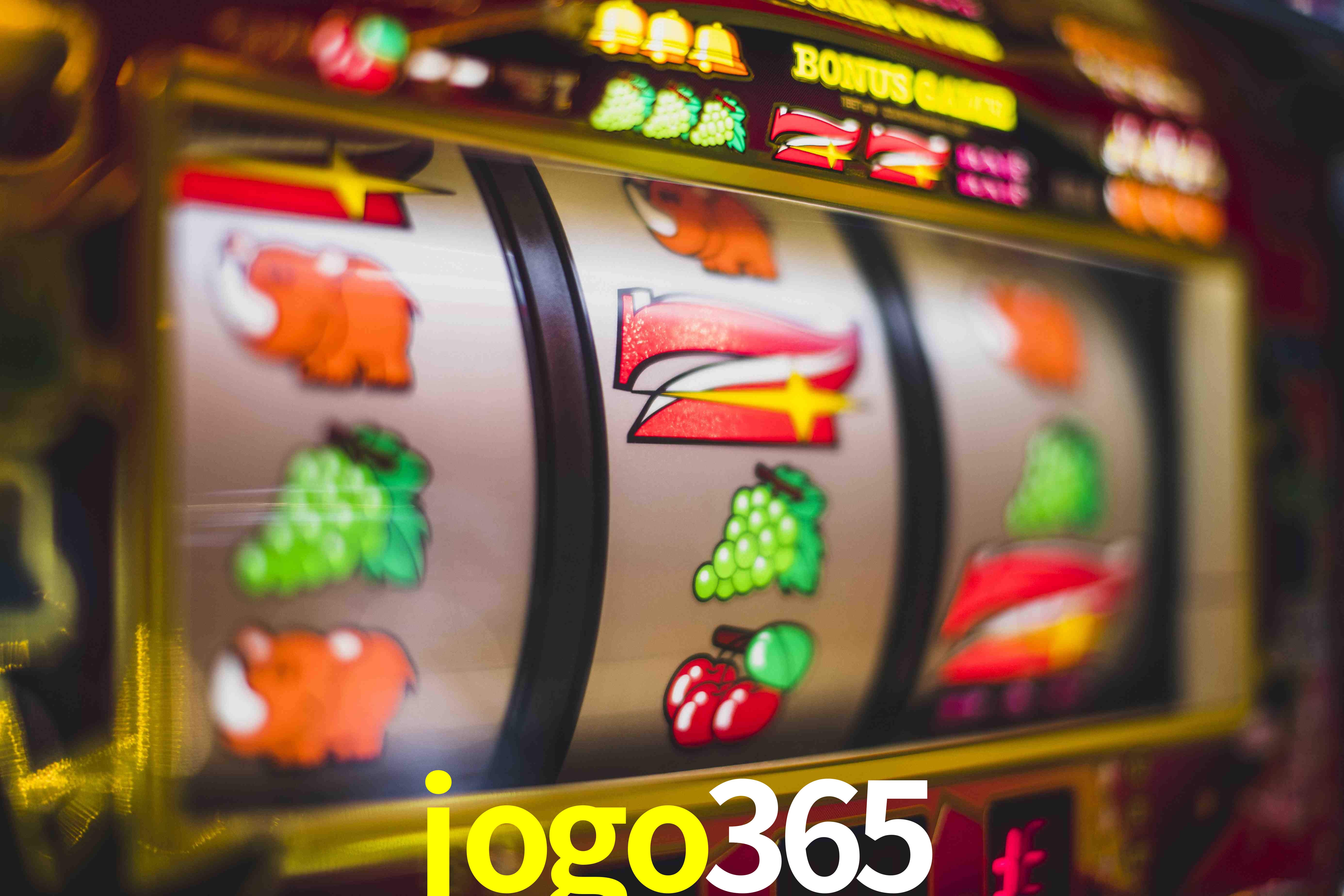 Tennis Betting jogo365